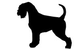 dog-schnauzer-black-silhouette